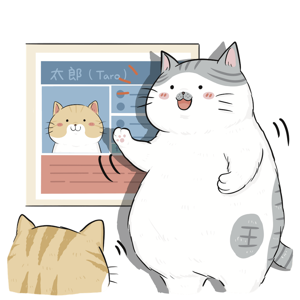 Bobo 分析市場
